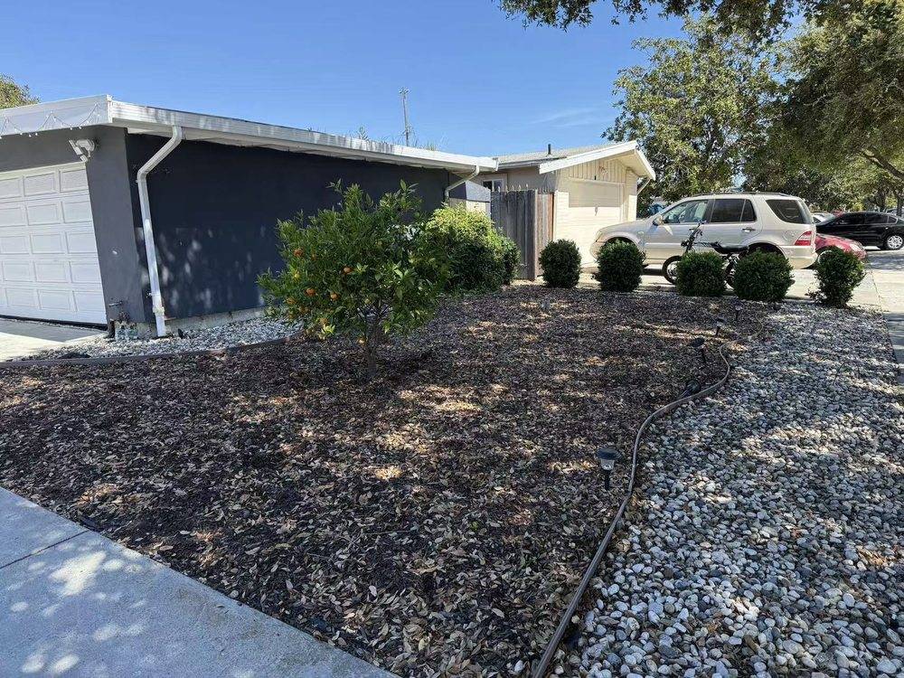 After: front yard with bark mulch, river rock border and new shrubs