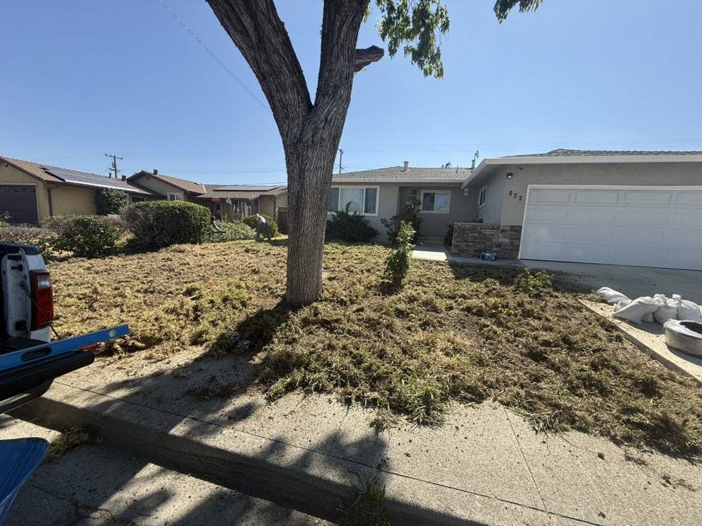 Before: dead, dry front lawn