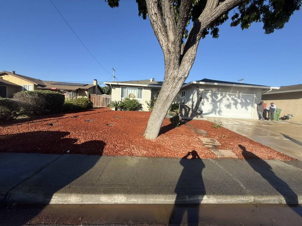 After: drought-friendly front yard with red bark mulch